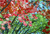 �g�t���Y�킳�������ł��B